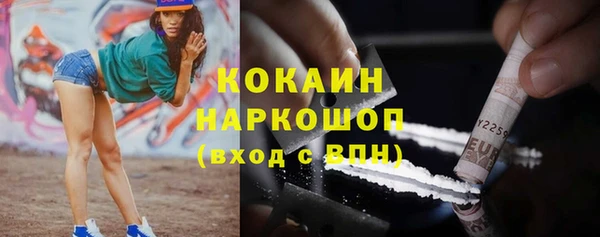 apvp Вяземский